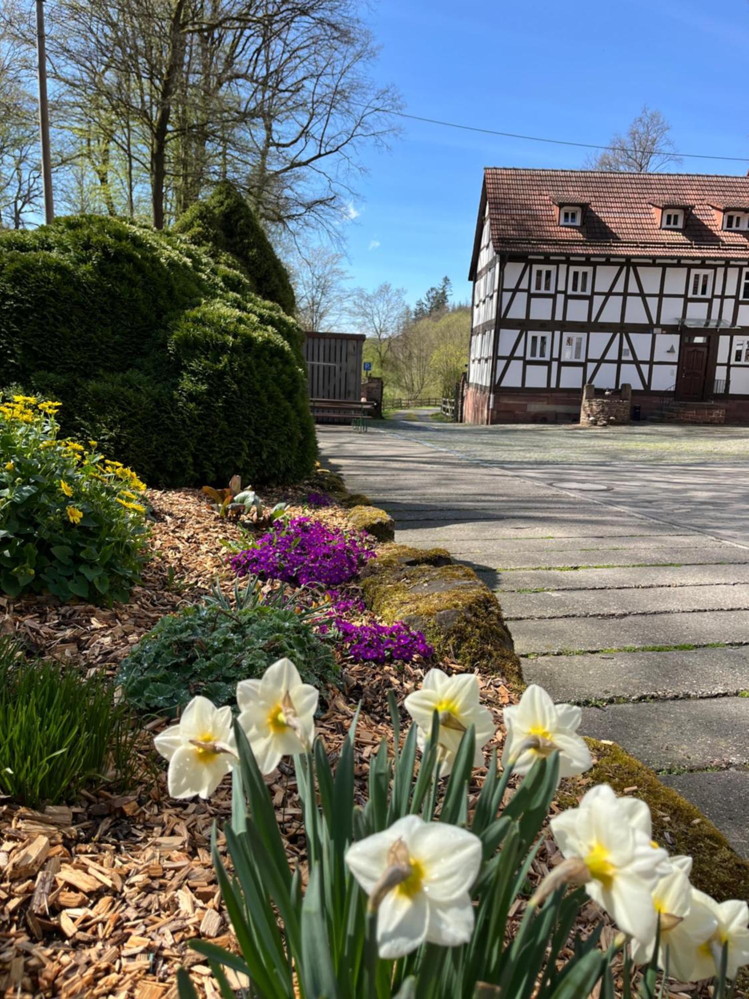 Pension Untere Muehle Burghaun Exterior foto